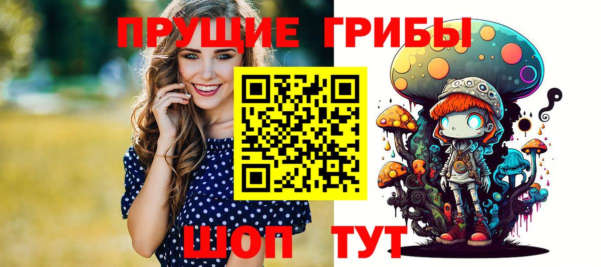 Павлово  Галлюциногенные грибы Psilocybine cubensis  Вход с VPN 